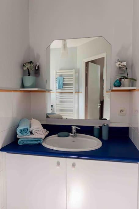 Maison Et Jardin 2Chambres 2Salles De Bain Сене Экстерьер фото